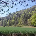 Golfblick