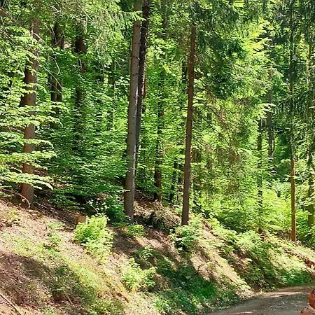 Apartmán Golfblick Grabelsdorf