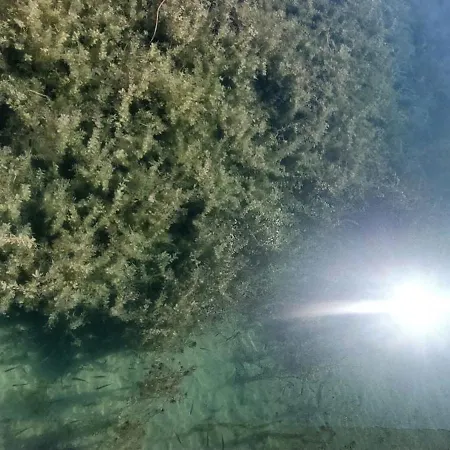 Golfblick Grabelsdorf