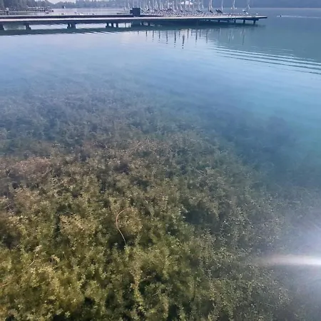 Apartment Golfblick *