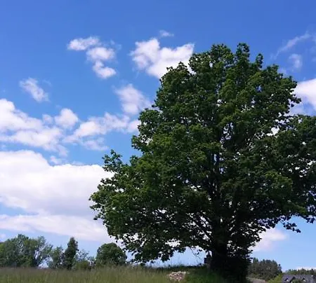 Golfblick Апартаменты Grabelsdorf