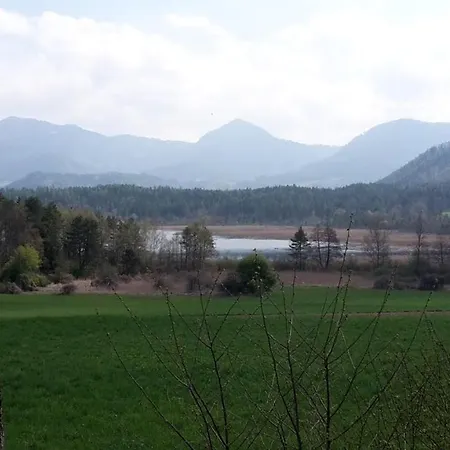 Golfblick *
