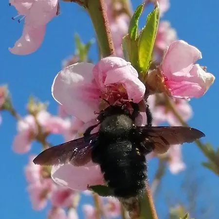 Golfblick Grabelsdorf