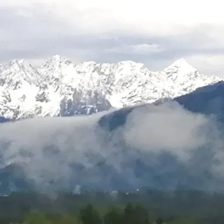 Golfblick *