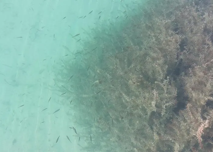 Golfblick Lägenhet Grabelsdorf