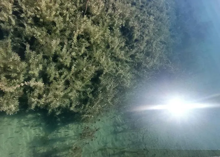 Golfblick Grabelsdorf