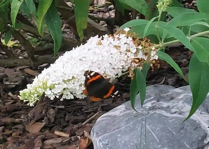 Golfblick * Grabelsdorf