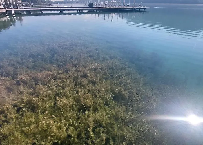 Lägenhet Golfblick *