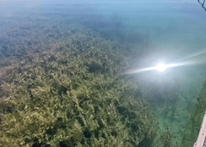 Golfblick * Grabelsdorf