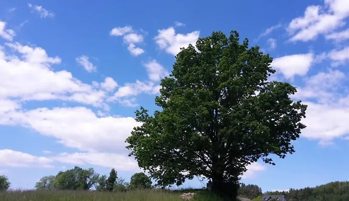 Golfblick Lägenhet Grabelsdorf