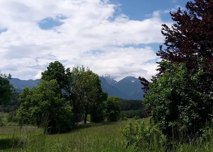 Lägenhet Golfblick *