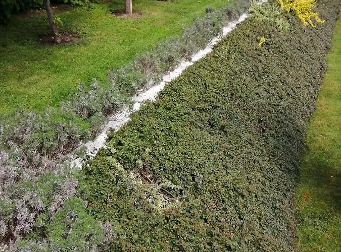 Lägenhet Golfblick *