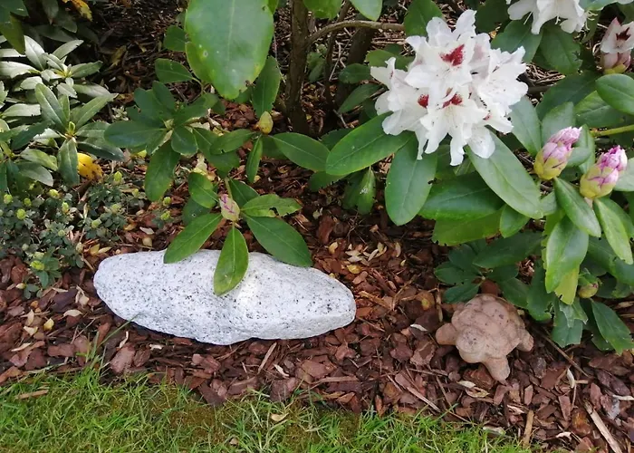 Golfblick Daire Grabelsdorf