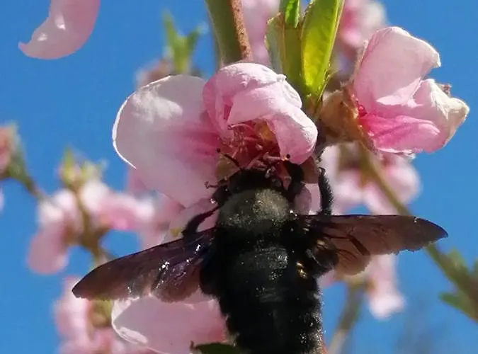 Golfblick Grabelsdorf